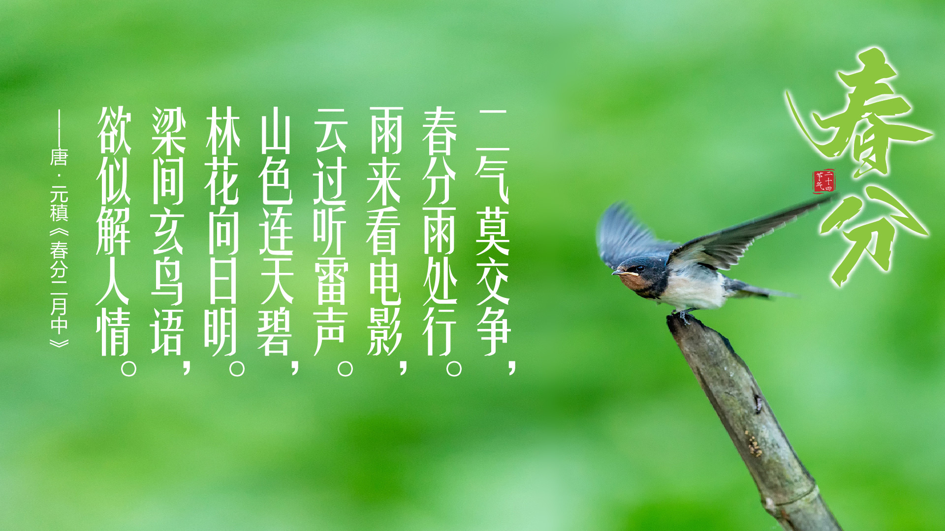 跟着古诗词赏春分美景