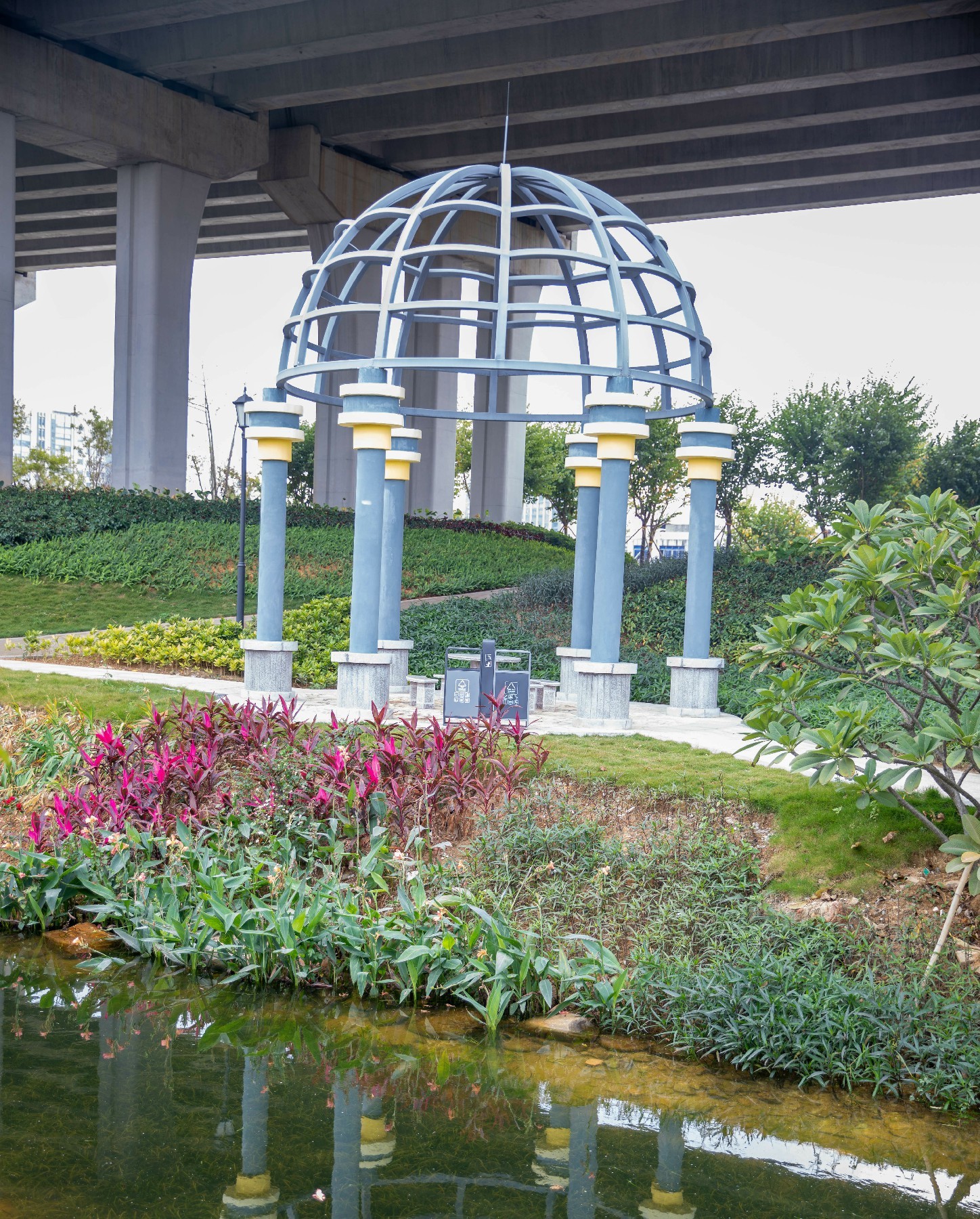 【大美深圳】深圳宝安松岗街道潭头河湿地公园:春意盎然 百花齐放